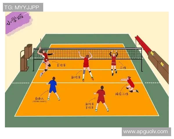 实时新闻排球战术解析深入探讨西安排球队的战术控制与团队协作技巧