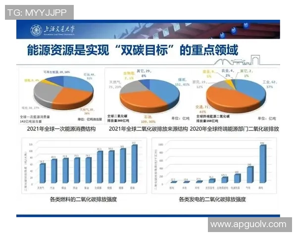实时新闻数据分析揭示LNG在全球能源转型中的关键作用与未来发展潜力